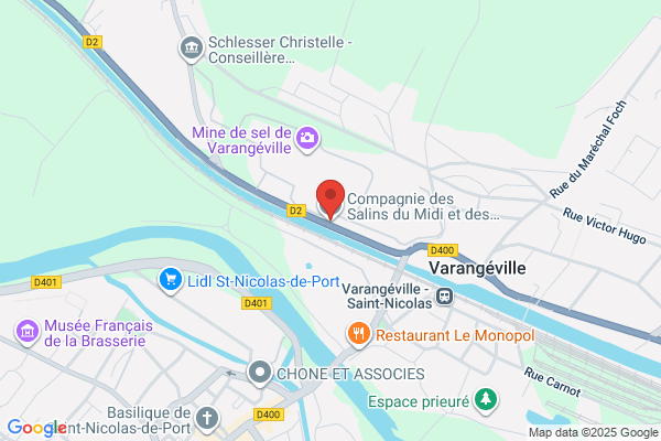 Compagnie Des Salins Du Midi Et Des Salines De l'est Sa