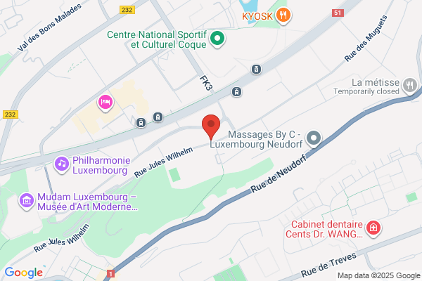 Meynen Theo