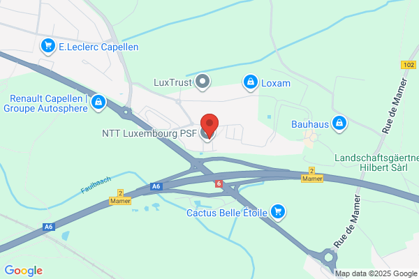 Laboratoire Des Specialites Du Dr Ernst's S.A.