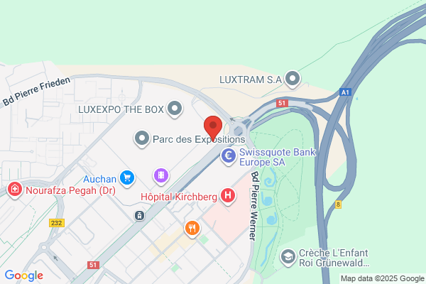 Pfizer Luxembourg Sa