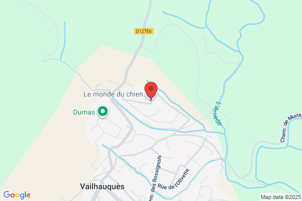 Au Monde Du Chien