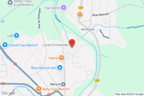 De Neie Lycee (Nl)