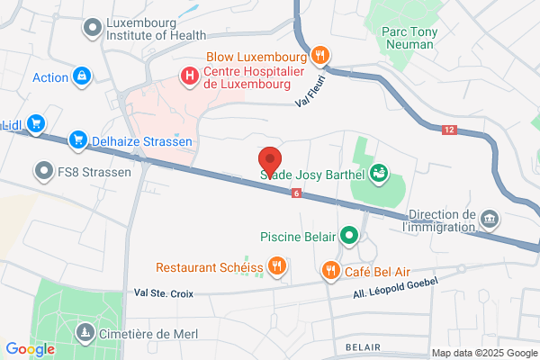 Blue Line Express Sàrl