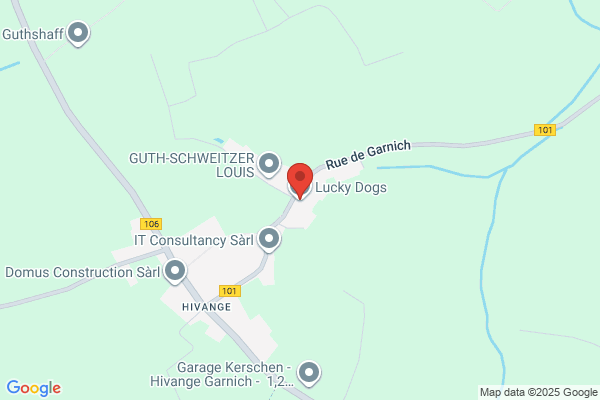 Hostellerie Canine Et Feline Des Grands Bois