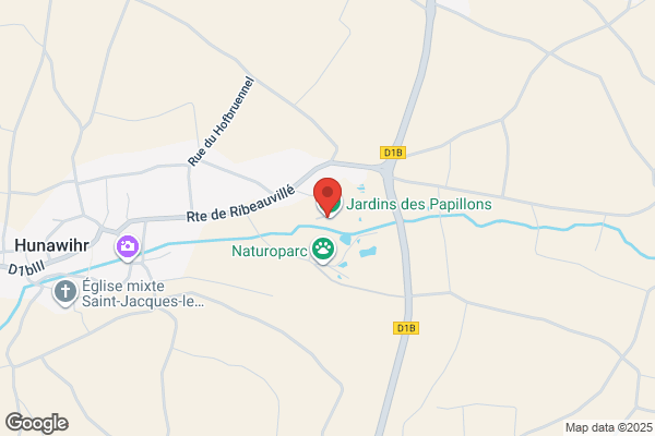 Jardin Des Papillons