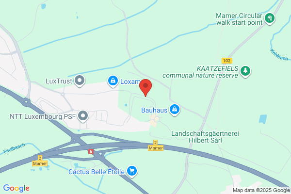 Synstar (Luxembourg) S.A.