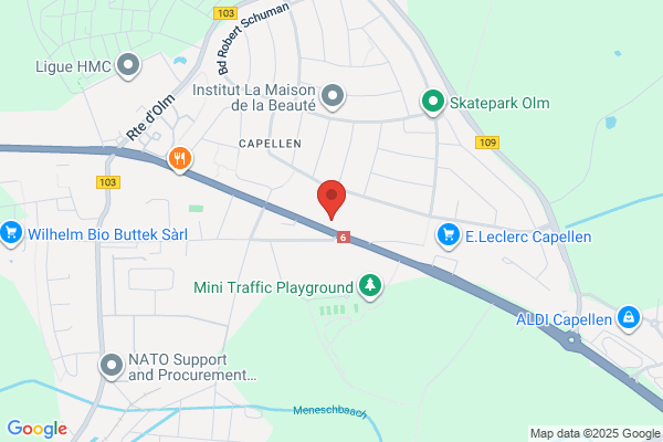 Coface Services Luxembourg S.A.