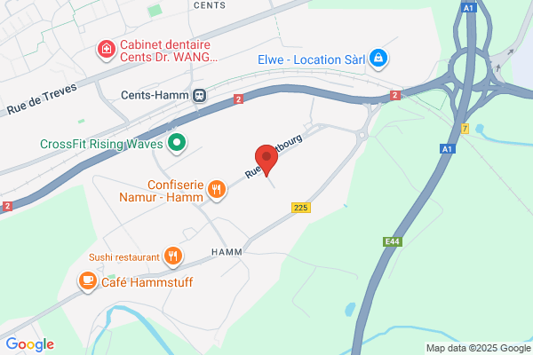 Brink's-Ziegler Luxembourg Sa