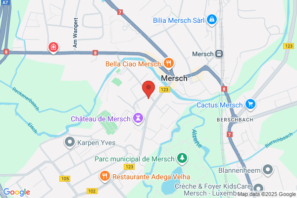 Douanes Et Accises (Brigade Motorisee)