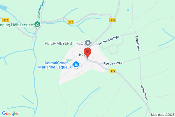 Bureau Wies F. & Meyers M. & Wies g.