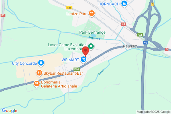 Cap Gemini Luxembourg S.A.
