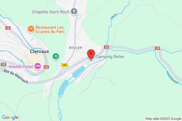 Friture Du Camping (Weyler Paul)