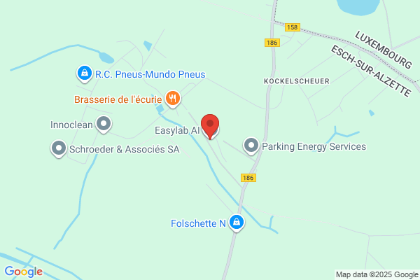 Societe Anonyme Du Train A Fil D'esch-Schifflange-S.T.F.S.