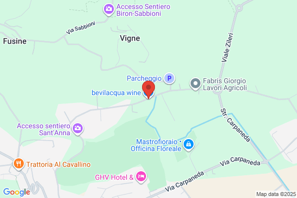 Bevilacqua Enzo