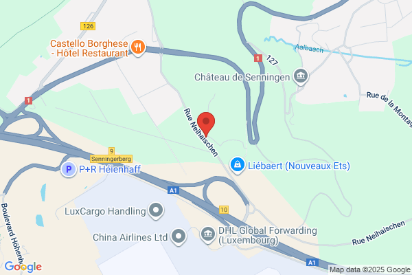 Sdv Scac Delmas Vieljeux (Luxembourg) Sa