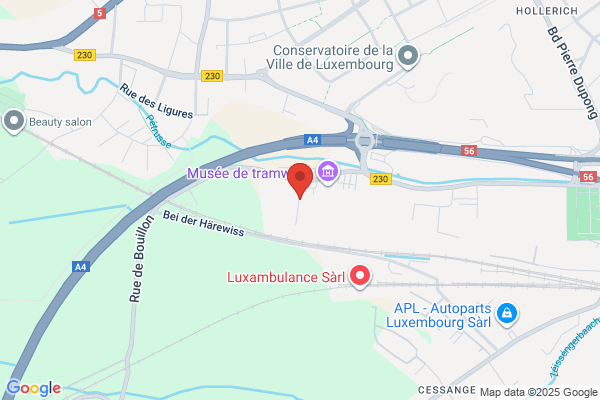 Association Des Cercles D'etudiants Luxembourgeois - A.C.E.L. Asbl