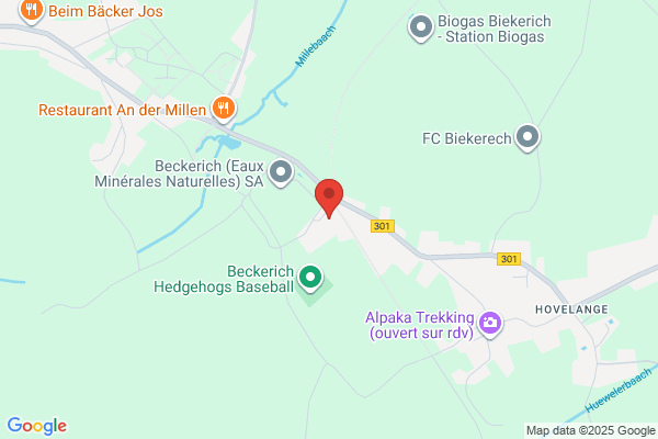 Autisme - Luxembourg Asbl