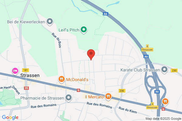 Andre Joel - Windeshausen Jacques