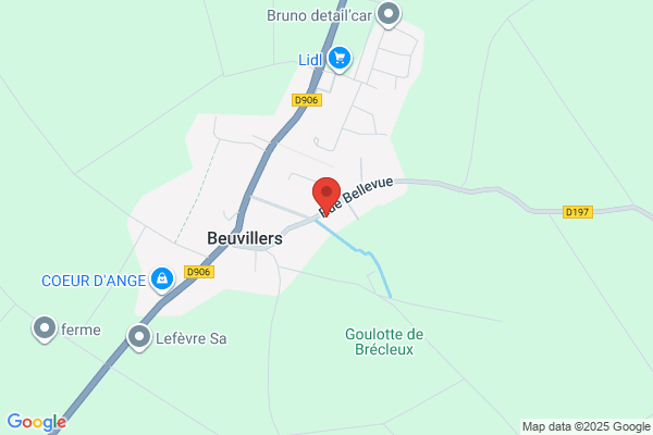Brasserie Arlequin - Debanck Lidia