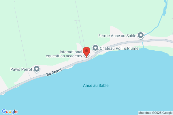 Centre Equestre International