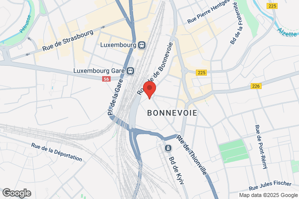 Aide Au Developpement De La Sante Ong