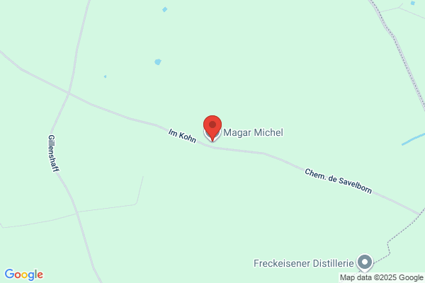 Maggi Michel
