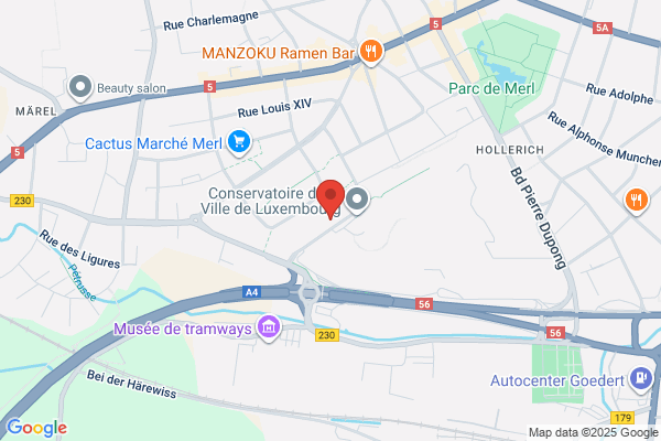 Maitland Asset Management (Luxembourg) S.A.
