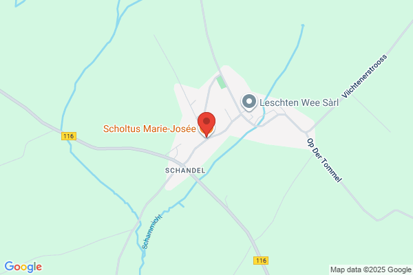 Scholtus Marie-Josee