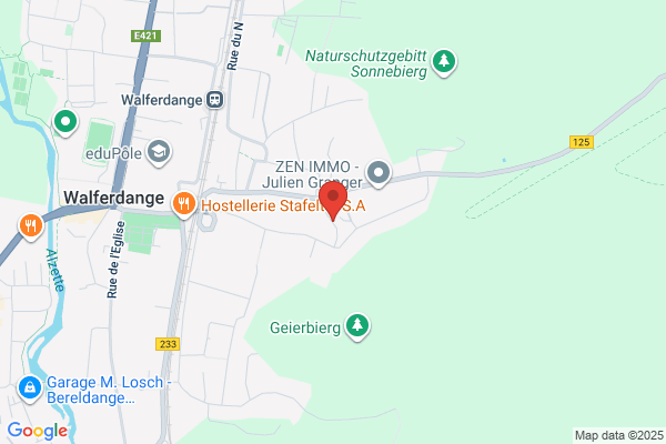 Werle Grauguss Und Sphäroguss Gmbh