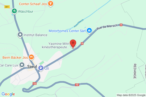 Rühl Sicherheit Gmbh & Co Kg
